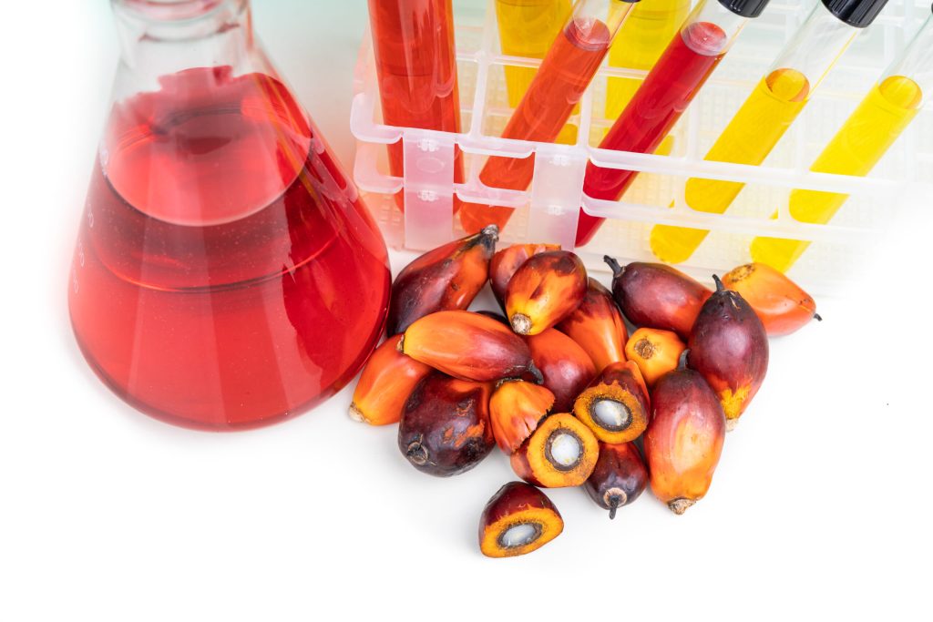Red color unrefined palm oil and fruits with beaker test tube in laboratory